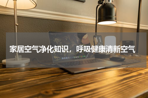  家居空气净化知识，呼吸健康清新空气