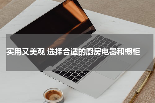  实用又美观 选择合适的厨房电器和橱柜
