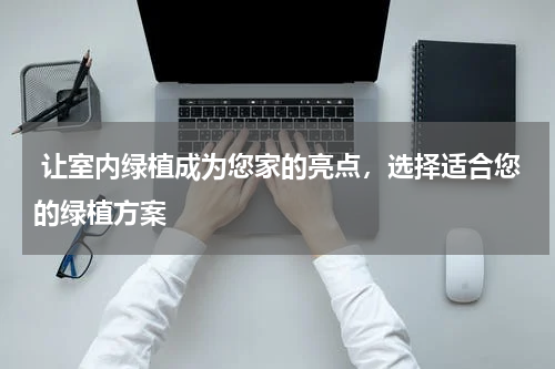  让室内绿植成为您家的亮点，选择适合您的绿植方案