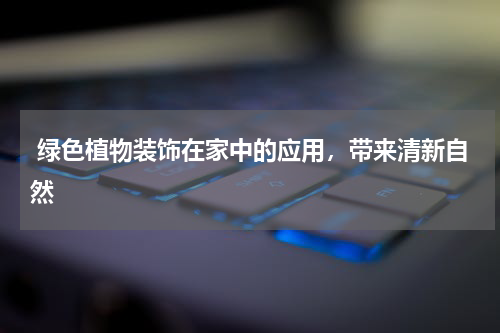  绿色植物装饰在家中的应用，带来清新自然