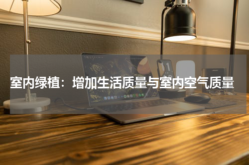  室内绿植：增加生活质量与室内空气质量