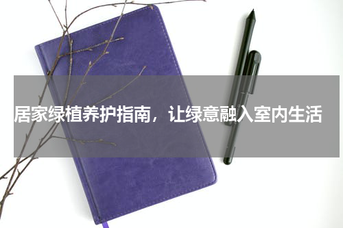  居家绿植养护指南，让绿意融入室内生活