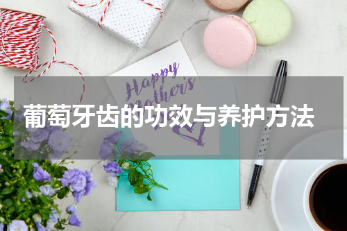  葡萄牙齿的功效与养护方法