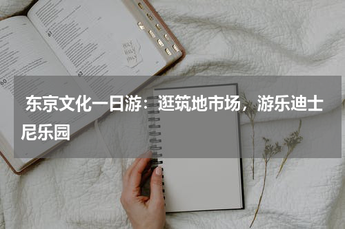  东京文化一日游：逛筑地市场，游乐迪士尼乐园