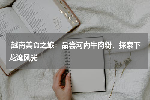  越南美食之旅：品尝河内牛肉粉，探索下龙湾风光