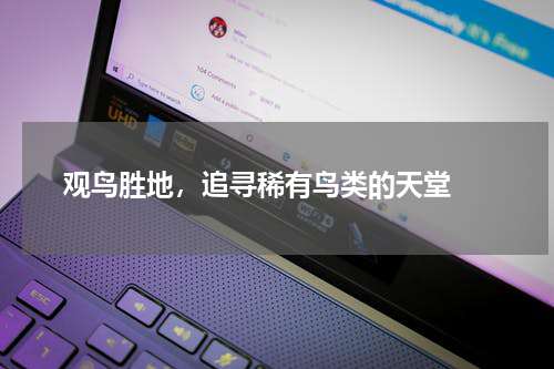  观鸟胜地，追寻稀有鸟类的天堂 