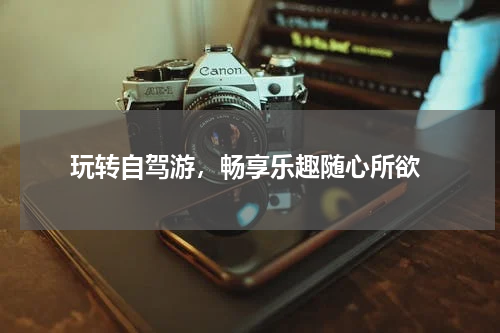  玩转自驾游，畅享乐趣随心所欲