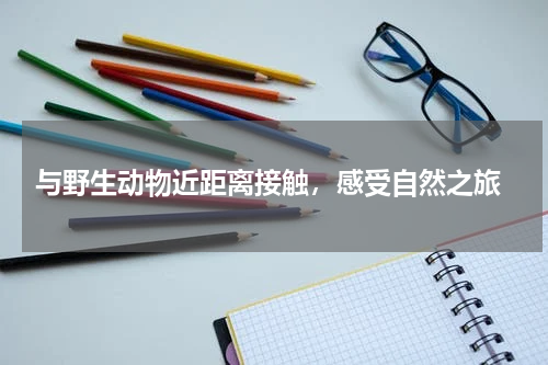  与野生动物近距离接触，感受自然之旅