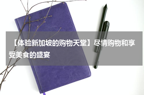 【体验新加坡的购物天堂】尽情购物和享受美食的盛宴