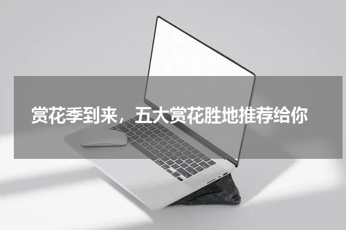  赏花季到来，五大赏花胜地推荐给你