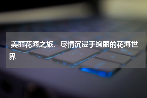  美丽花海之旅，尽情沉浸于绚丽的花海世界