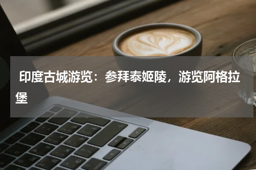  印度古城游览：参拜泰姬陵，游览阿格拉堡
