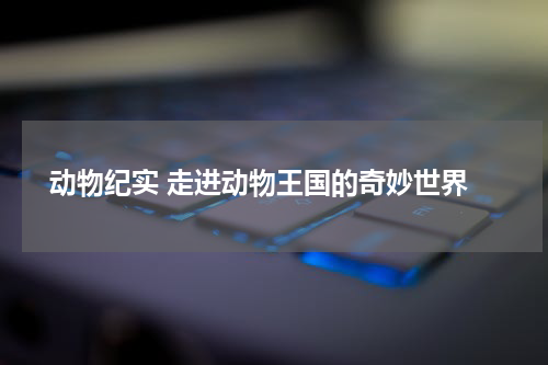  动物纪实 走进动物王国的奇妙世界