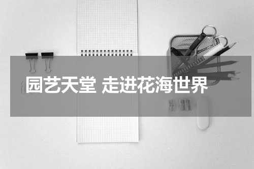  园艺天堂 走进花海世界
