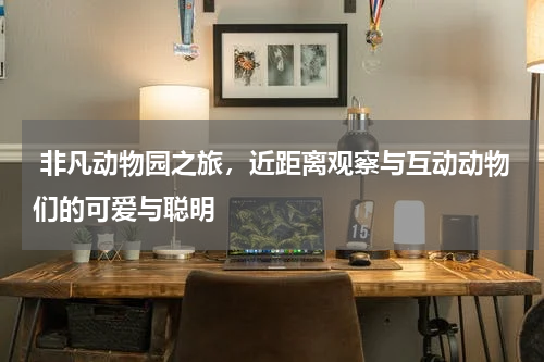  非凡动物园之旅，近距离观察与互动动物们的可爱与聪明
