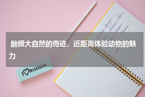  触摸大自然的奇迹，近距离体验动物的魅力