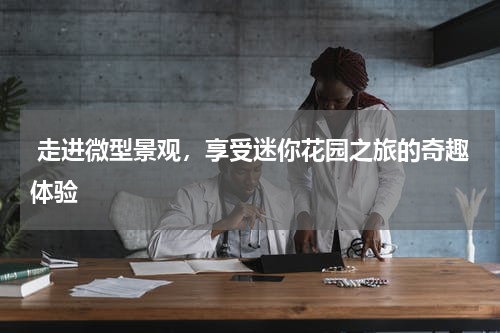  走进微型景观，享受迷你花园之旅的奇趣体验