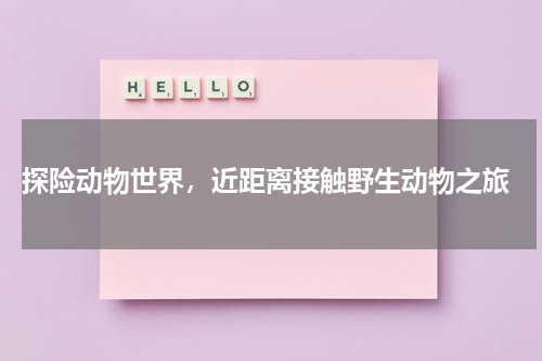  探险动物世界，近距离接触野生动物之旅