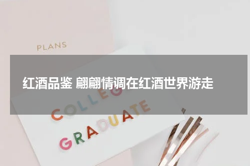 红酒品鉴 翩翩情调在红酒世界游走