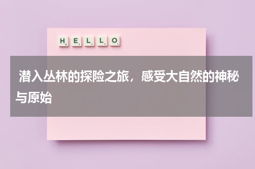  潜入丛林的探险之旅，感受大自然的神秘与原始