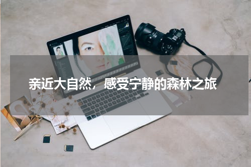  亲近大自然，感受宁静的森林之旅