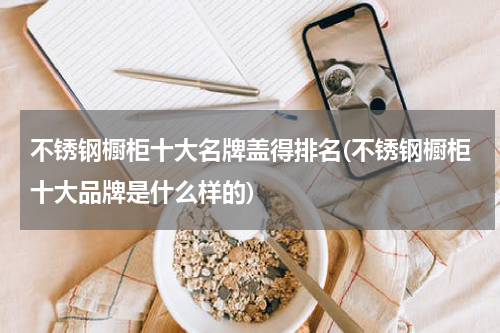 不锈钢橱柜十大名牌盖得排名(不锈钢橱柜十大品牌是什么样的)