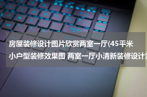 房屋装修设计图片欣赏两室一厅(45平米小户型装修效果图 两室一厅小清新装修设计案例)