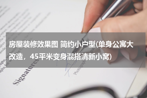 房屋装修效果图 简约小户型(单身公寓大改造，45平米变身混搭清新小窝)