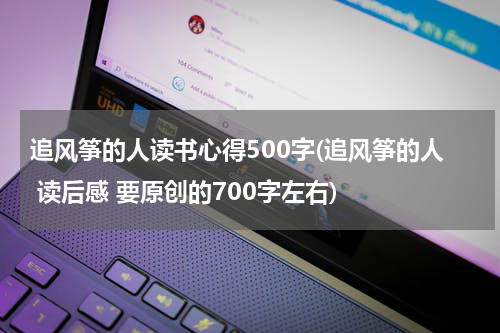 追风筝的人读书心得500字(追风筝的人 读后感 要原创的700字左右)
