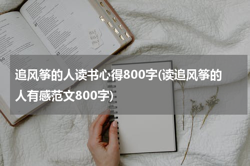 追风筝的人读书心得800字(读追风筝的人有感范文800字)