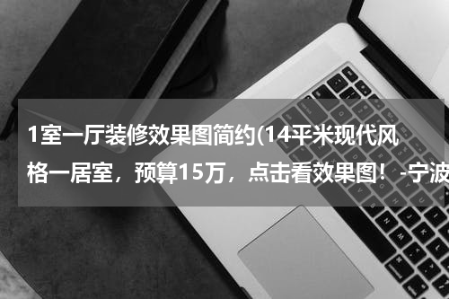 1室一厅装修效果图简约(14平米现代风格一居室，预算15万，点击看效果图！-宁波银泰城装修)