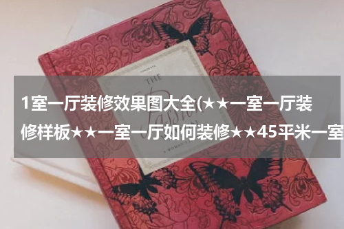 1室一厅装修效果图大全(★★一室一厅装修样板★★一室一厅如何装修★★45平米一室一厅装修)