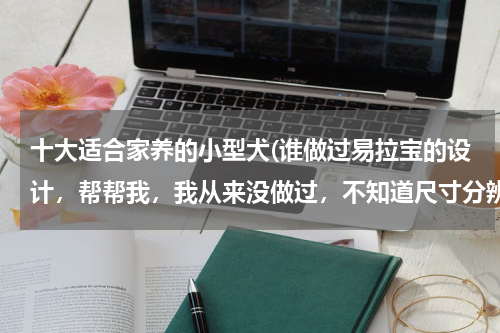 十大适合家养的小型犬(谁做过易拉宝的设计，帮帮我，我从来没做过，不知道尺寸分辨率和一些大的素材去哪里找。)