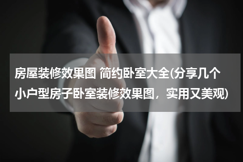 房屋装修效果图 简约卧室大全(分享几个小户型房子卧室装修效果图，实用又美观)