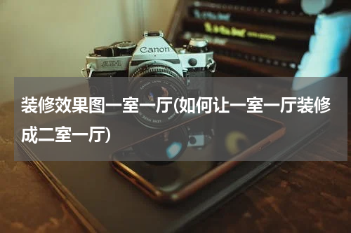 装修效果图一室一厅(如何让一室一厅装修成二室一厅)