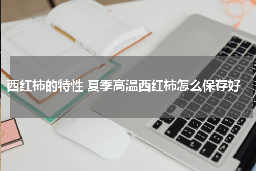 西红柿的特性 夏季高温西红柿怎么保存好