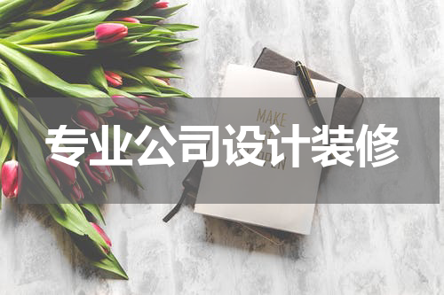 专业公司设计装修