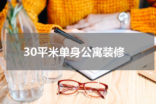 30平米单身公寓装修