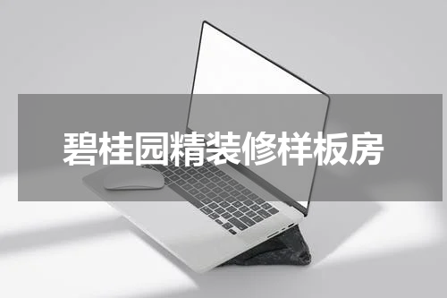 碧桂园精装修样板房