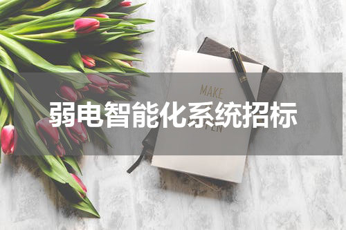 弱电智能化系统招标
