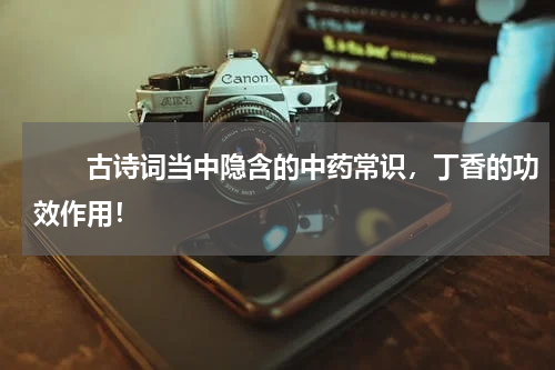 　　古诗词当中隐含的中药常识，丁香的功效作用！