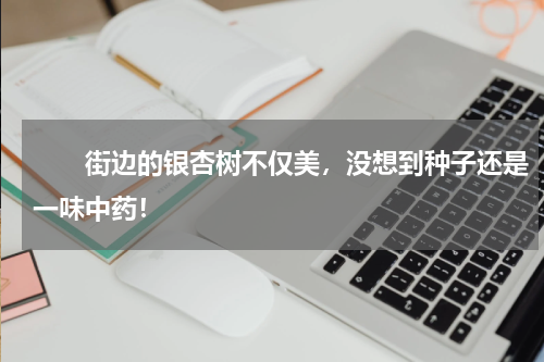 　　街边的银杏树不仅美，没想到种子还是一味中药！